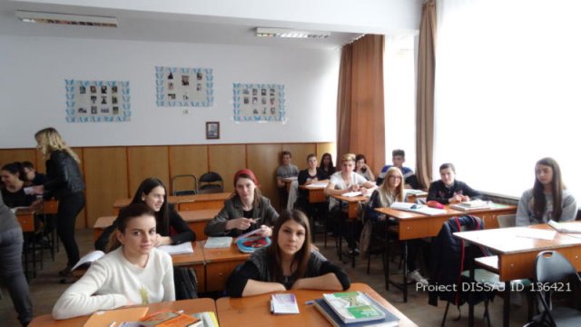 COLEGIUL ECONOMIC "DIMITRIE CANTEMIR" SUCEAVA